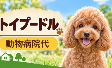 トイプードルの動物病院代は年間いくら？健康診断・予防・急な通院に備える