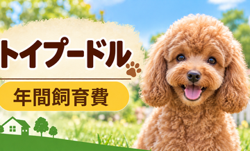 トイプードルの年間飼育費はいくら？固定費と臨時出費をまとめて計算