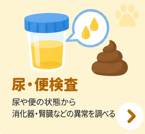 尿・便検査