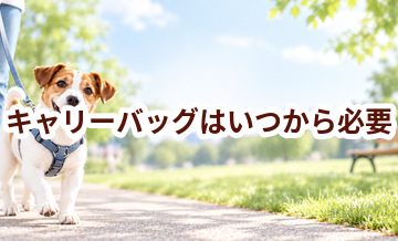 キャリーバッグはいつから必要？使い始めるタイミングと選び方