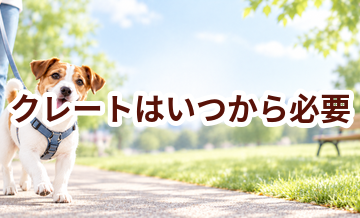 クレートはいつから必要？使い始めるタイミングと選び方