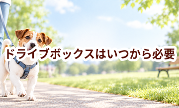 ドライブボックスはいつから必要？使い始めるタイミングと選び方