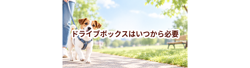 ドライブボックスはいつから必要？使い始めるタイミングと選び方