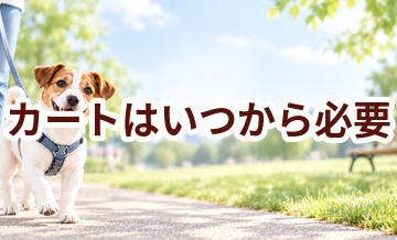 カートはいつから必要？使い始めるタイミングと選び方