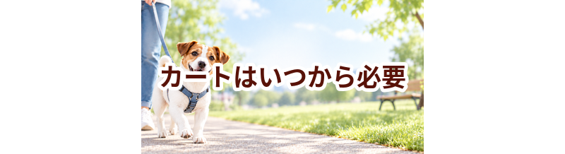 カートはいつから必要？使い始めるタイミングと選び方