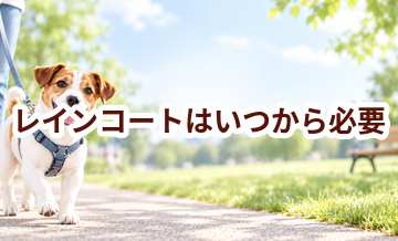 レインコートはいつから必要？使い始めるタイミングと選び方