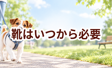 靴はいつから必要？使い始めるタイミングと選び方