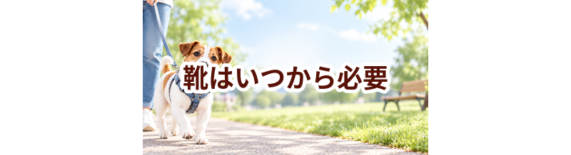 靴はいつから必要？使い始めるタイミングと選び方