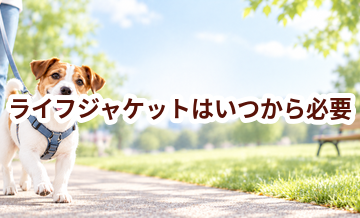 ライフジャケットはいつから必要？使い始めるタイミングと選び方