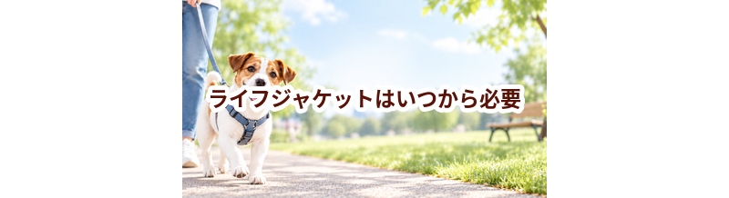 ライフジャケットはいつから必要？使い始めるタイミングと選び方