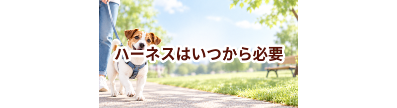 ハーネスはいつから必要？使い始めるタイミングと選び方
