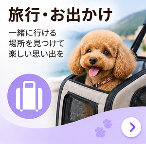 散歩・運動