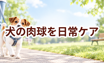 犬の肉球を毎日続けるコツ｜食事・運動・ケア用品を見直す
