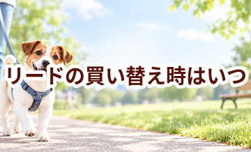 リードの買い替え時はいつ？安全に使うためのチェックポイント