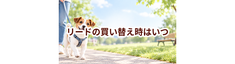 リードの買い替え時はいつ？安全に使うためのチェックポイント