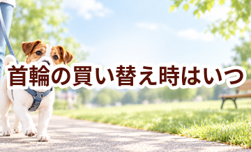 首輪の買い替え時はいつ？安全に使うためのチェックポイント