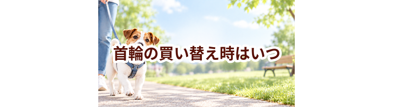 首輪の買い替え時はいつ？安全に使うためのチェックポイント
