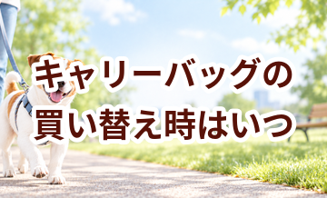 キャリーバッグの買い替え時はいつ？安全に使うためのチェックポイント