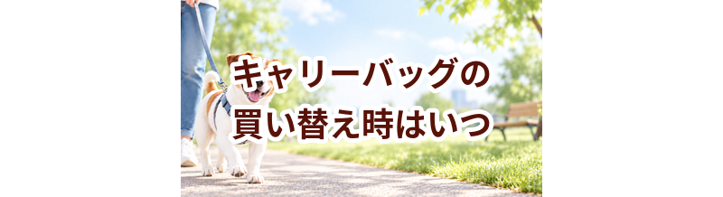 キャリーバッグの買い替え時はいつ？安全に使うためのチェックポイント