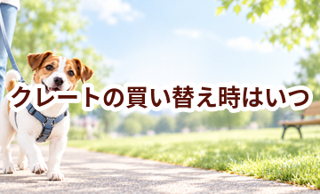 クレートの買い替え時はいつ？安全に使うためのチェックポイント
