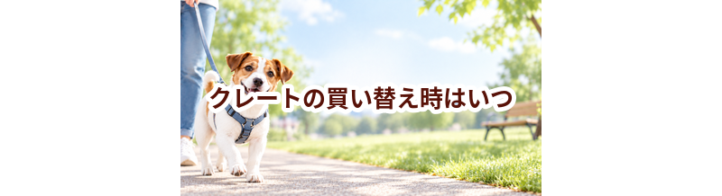 クレートの買い替え時はいつ？安全に使うためのチェックポイント