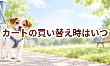 カートの買い替え時はいつ？安全に使うためのチェックポイント