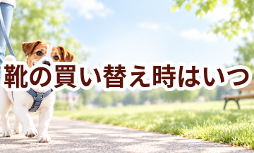 靴の買い替え時はいつ？安全に使うためのチェックポイント