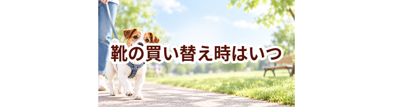 靴の買い替え時はいつ？安全に使うためのチェックポイント