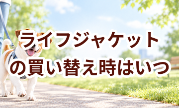 ライフジャケットの買い替え時はいつ？安全に使うためのチェックポイント