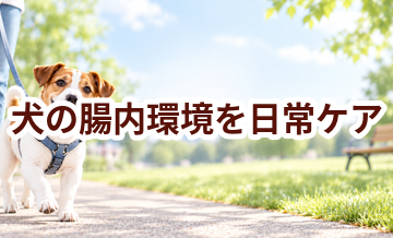 犬の腸内環境を毎日続けるコツ｜食事・運動・ケア用品を見直す