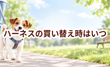 ハーネスの買い替え時はいつ？安全に使うためのチェックポイント