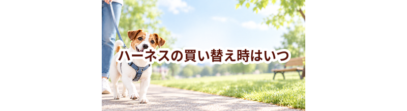 ハーネスの買い替え時はいつ？安全に使うためのチェックポイント