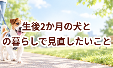 生後2か月の犬との暮らしで見直したいこと｜運動・環境・ケア
