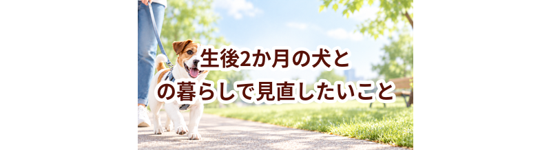 生後2か月の犬との暮らしで見直したいこと｜運動・環境・ケア
