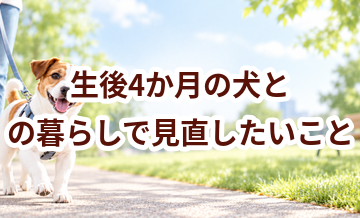 生後4か月の犬との暮らしで見直したいこと｜運動・環境・ケア