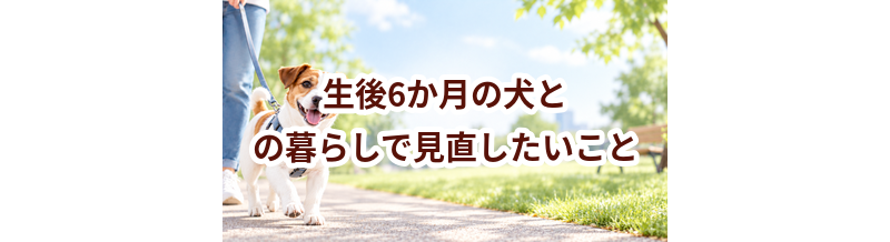 生後6か月の犬との暮らしで見直したいこと｜運動・環境・ケア