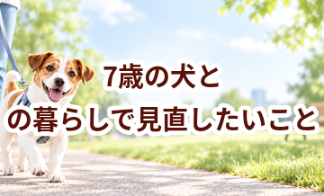 7歳の犬との暮らしで見直したいこと｜運動・環境・ケア