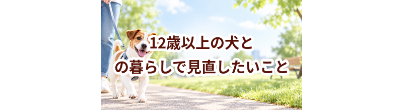 12歳以上の犬との暮らしで見直したいこと｜運動・環境・ケア