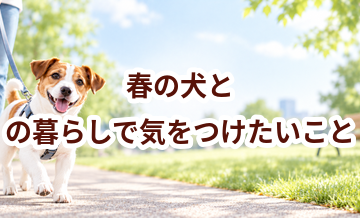 春の犬との暮らしで気をつけたいこと｜散歩・室温・ケアを見直す