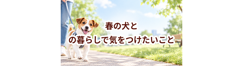 春の犬との暮らしで気をつけたいこと｜散歩・室温・ケアを見直す