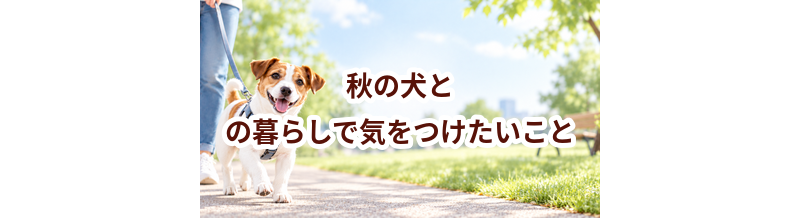 秋の犬との暮らしで気をつけたいこと｜散歩・室温・ケアを見直す