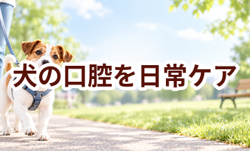 犬の口腔を毎日続けるコツ｜食事・運動・ケア用品を見直す