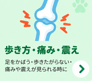 歩き方・痛み・震え