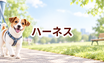 ハーネスはいくら？価格帯と長く使うための選び方