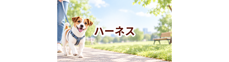 ハーネスはいくら？価格帯と長く使うための選び方