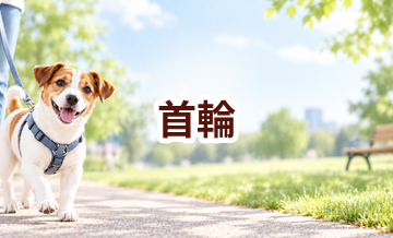 首輪はいくら？価格帯と長く使うための選び方