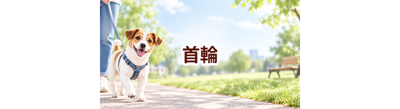首輪はいくら？価格帯と長く使うための選び方