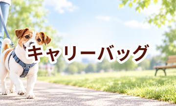 キャリーバッグはいくら？価格帯と長く使うための選び方