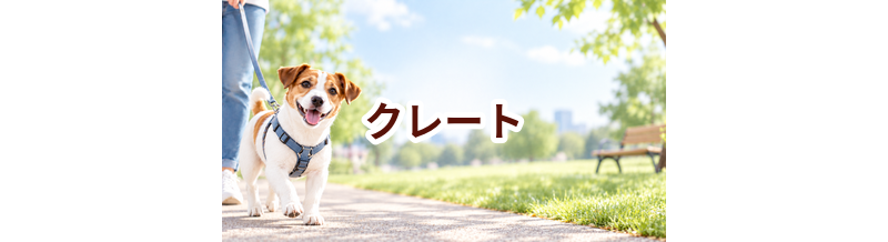 クレートはいくら？価格帯と長く使うための選び方