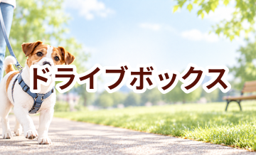 ドライブボックスはいくら？価格帯と長く使うための選び方